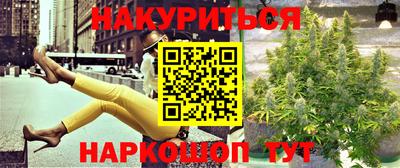 стафф Бийск