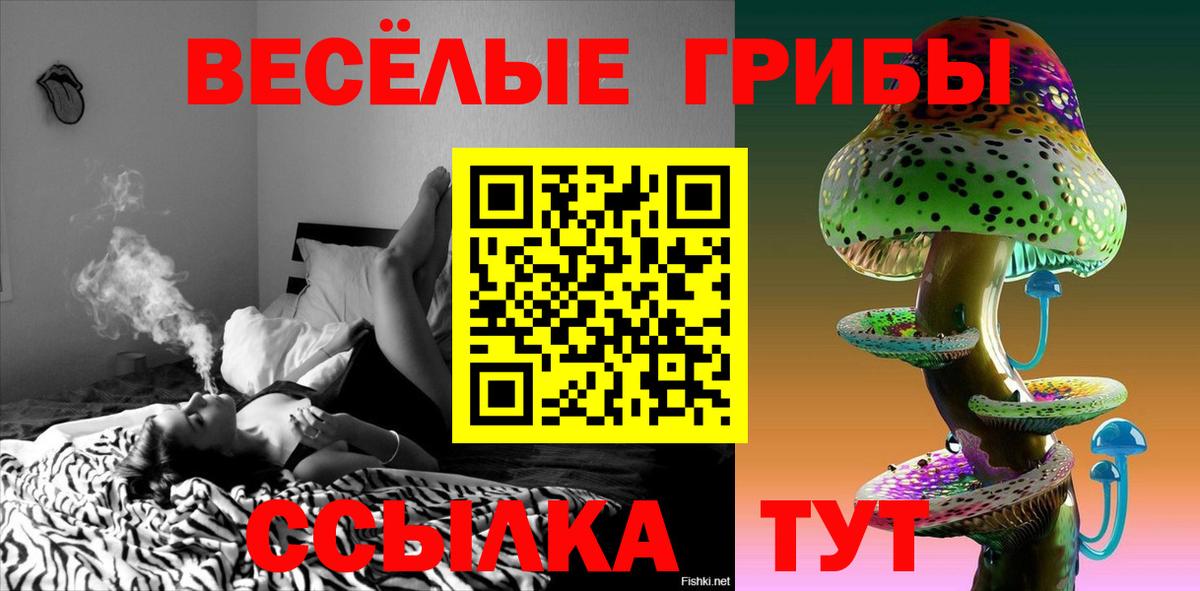 Касимов  Галлюциногенные грибы мицелий  Вход с VPN 